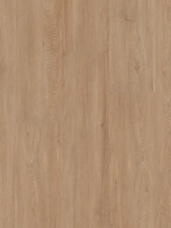 Therdex Xstralong 18010 Plank XL Dryback