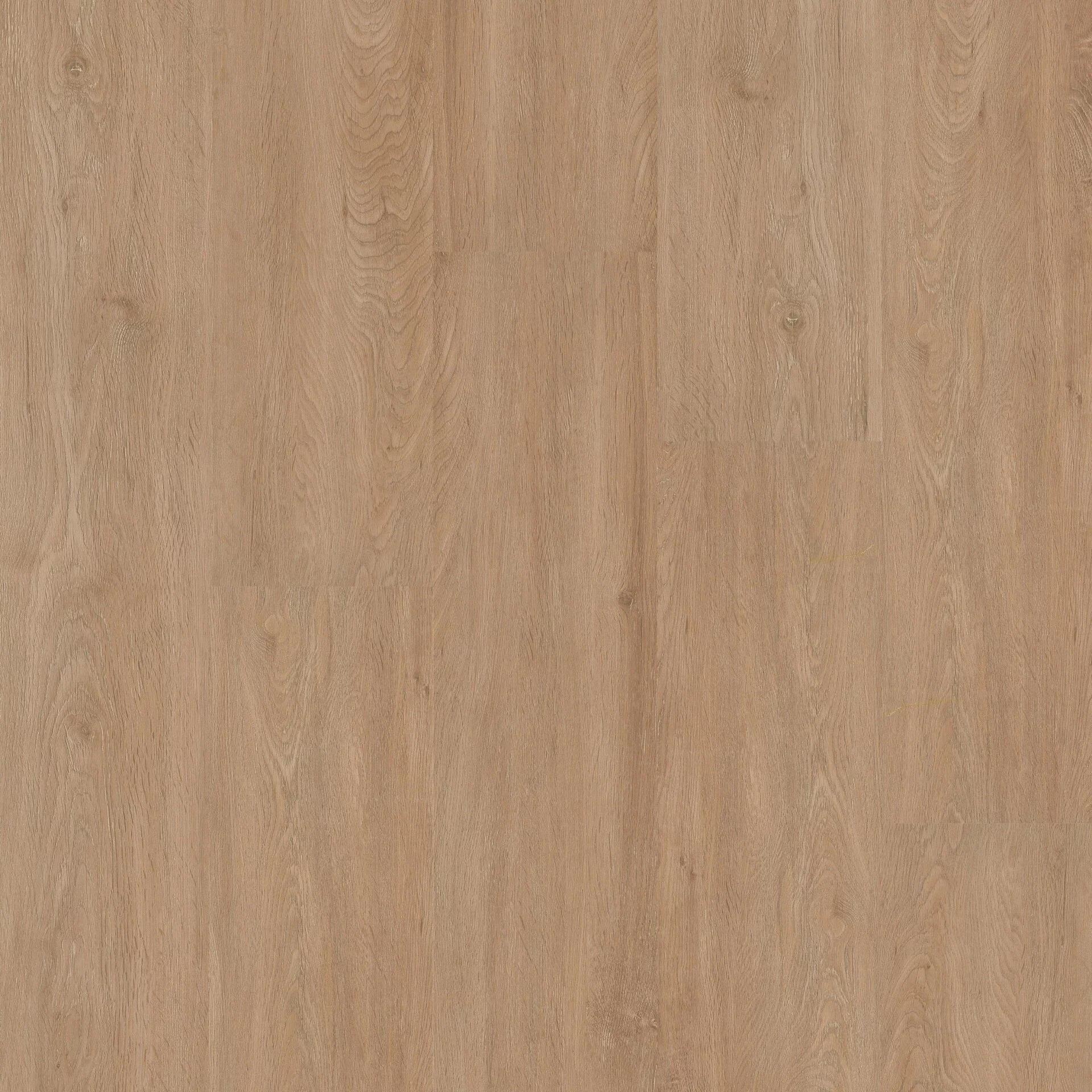 Therdex Xstralong 18010 Plank XL Dryback