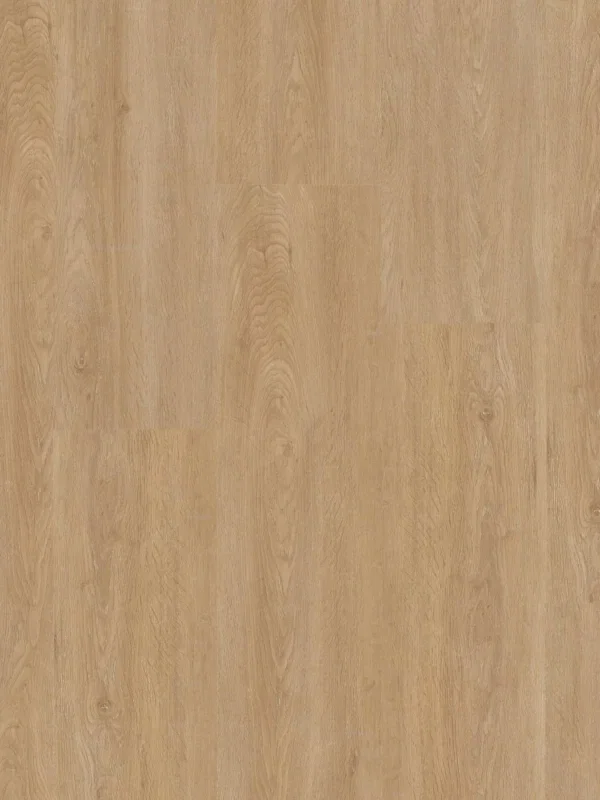 Therdex Xstralong 18050 Plank XL Dryback