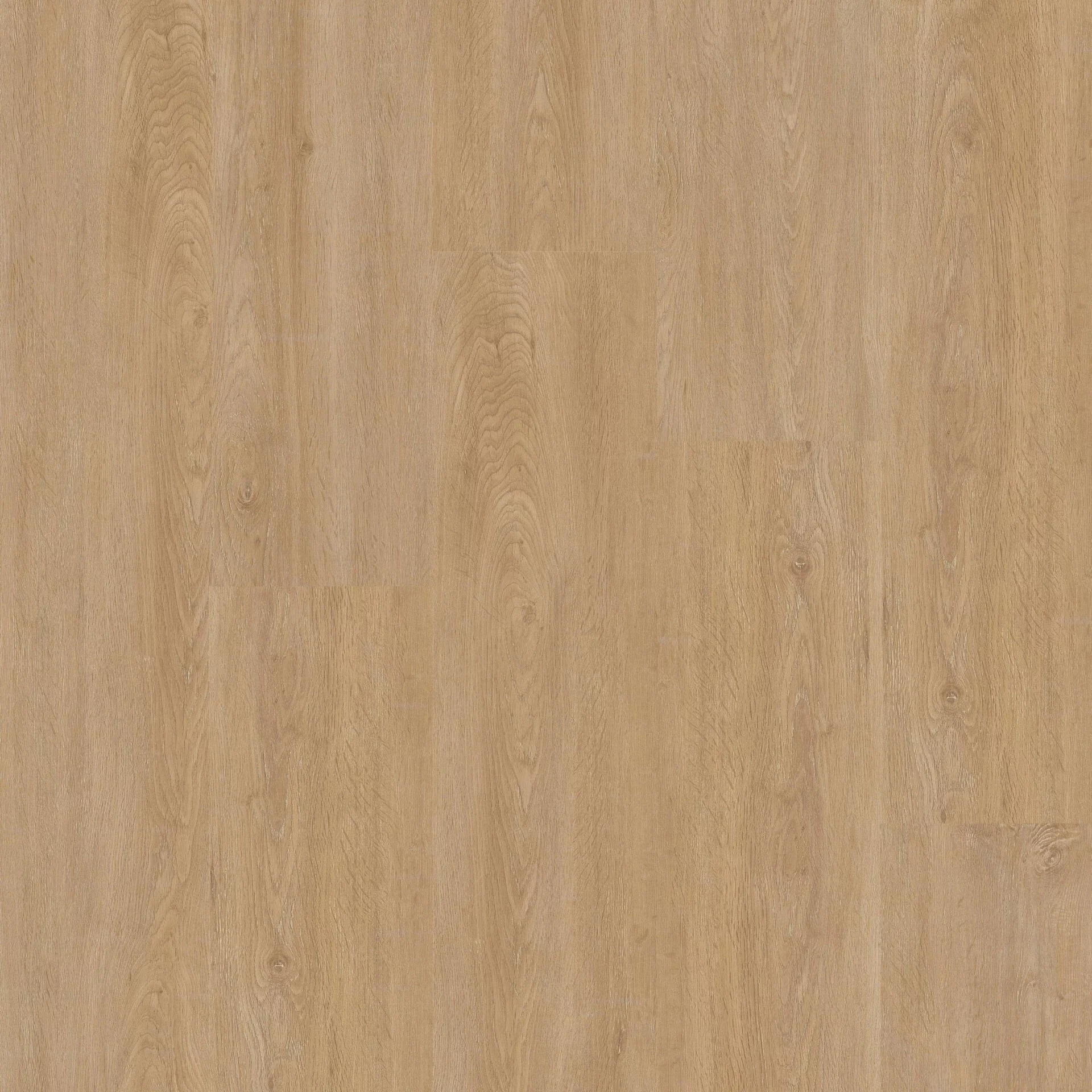 Therdex Xstralong 18050 Plank XL Dryback