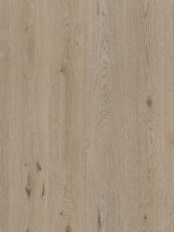 Therdex Authentic 15061 Plank XL Dryback