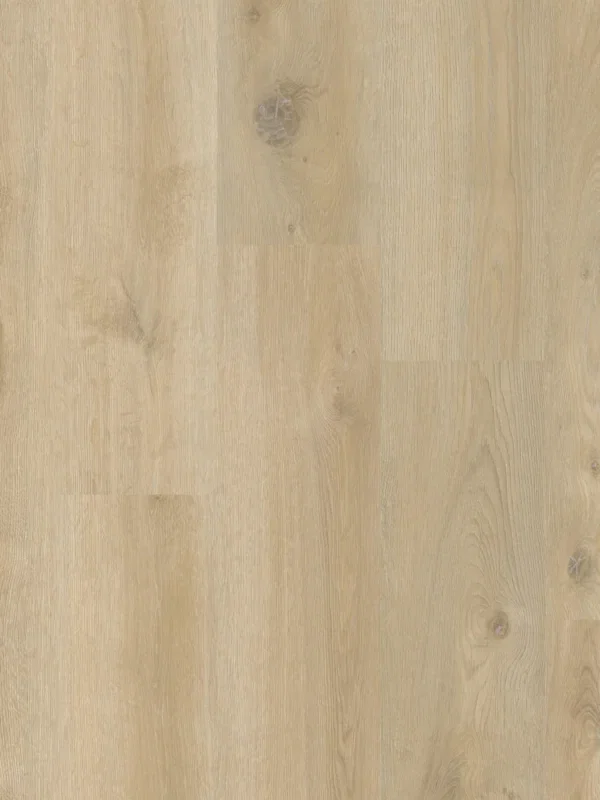 Therdex Original 2 15041 Plank XL Dryback