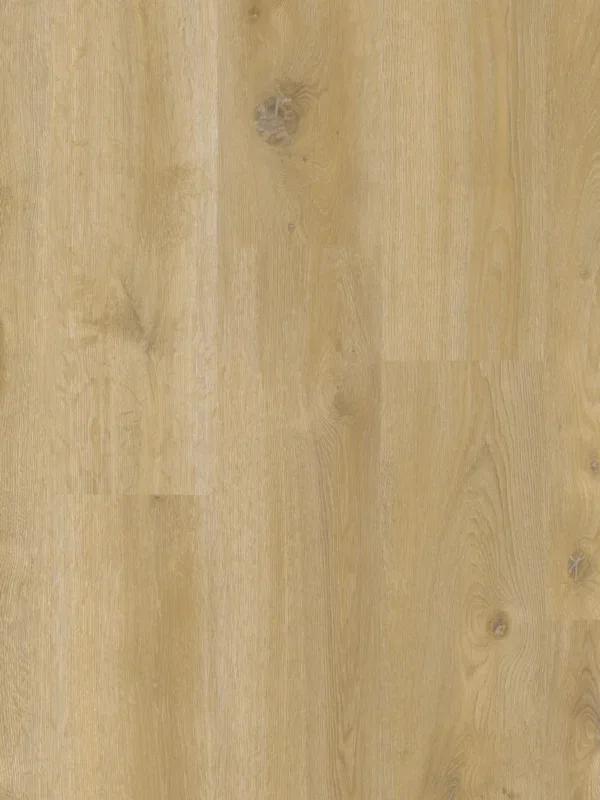 Therdex Original 2 15042 Plank XL Dryback