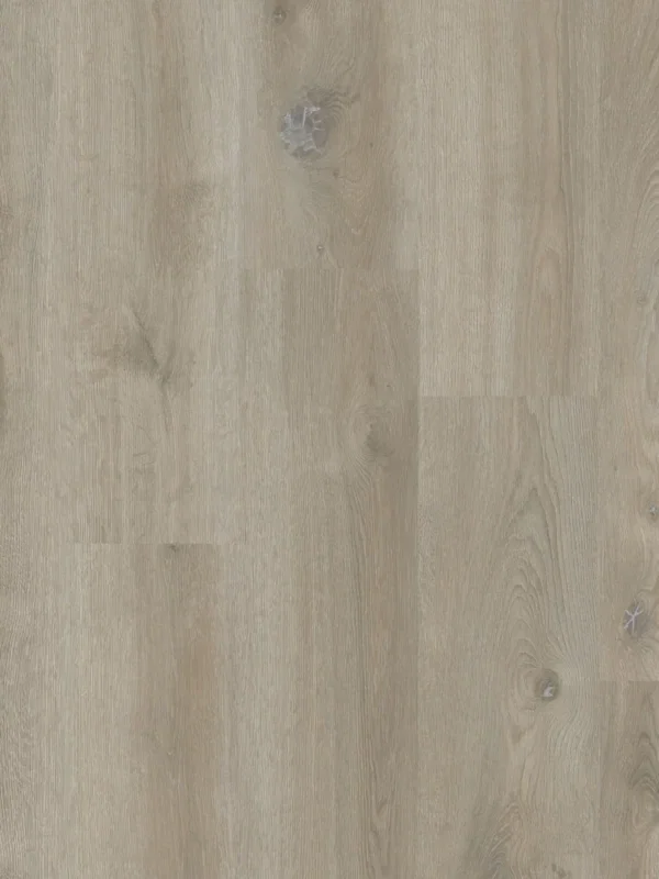 Therdex Original 2 15046 Plank XL Dryback