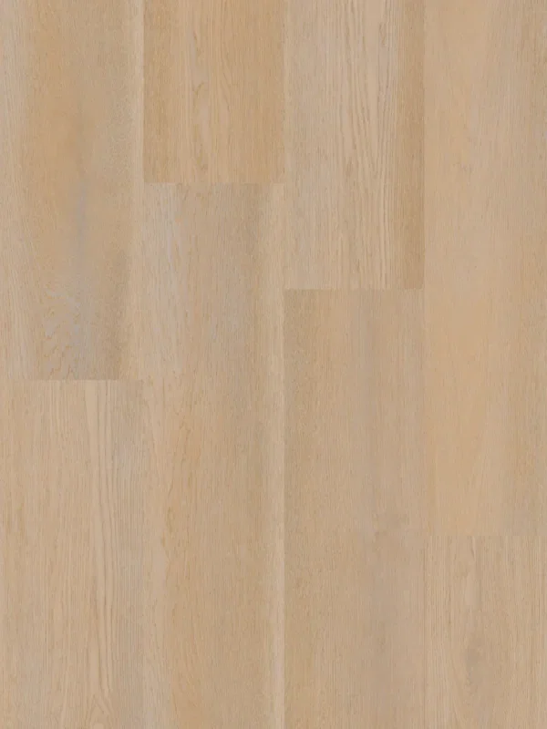 Therdex Premier 15080 Plank XL Dryback Therdex Premier 15080 Plank XL Dryback