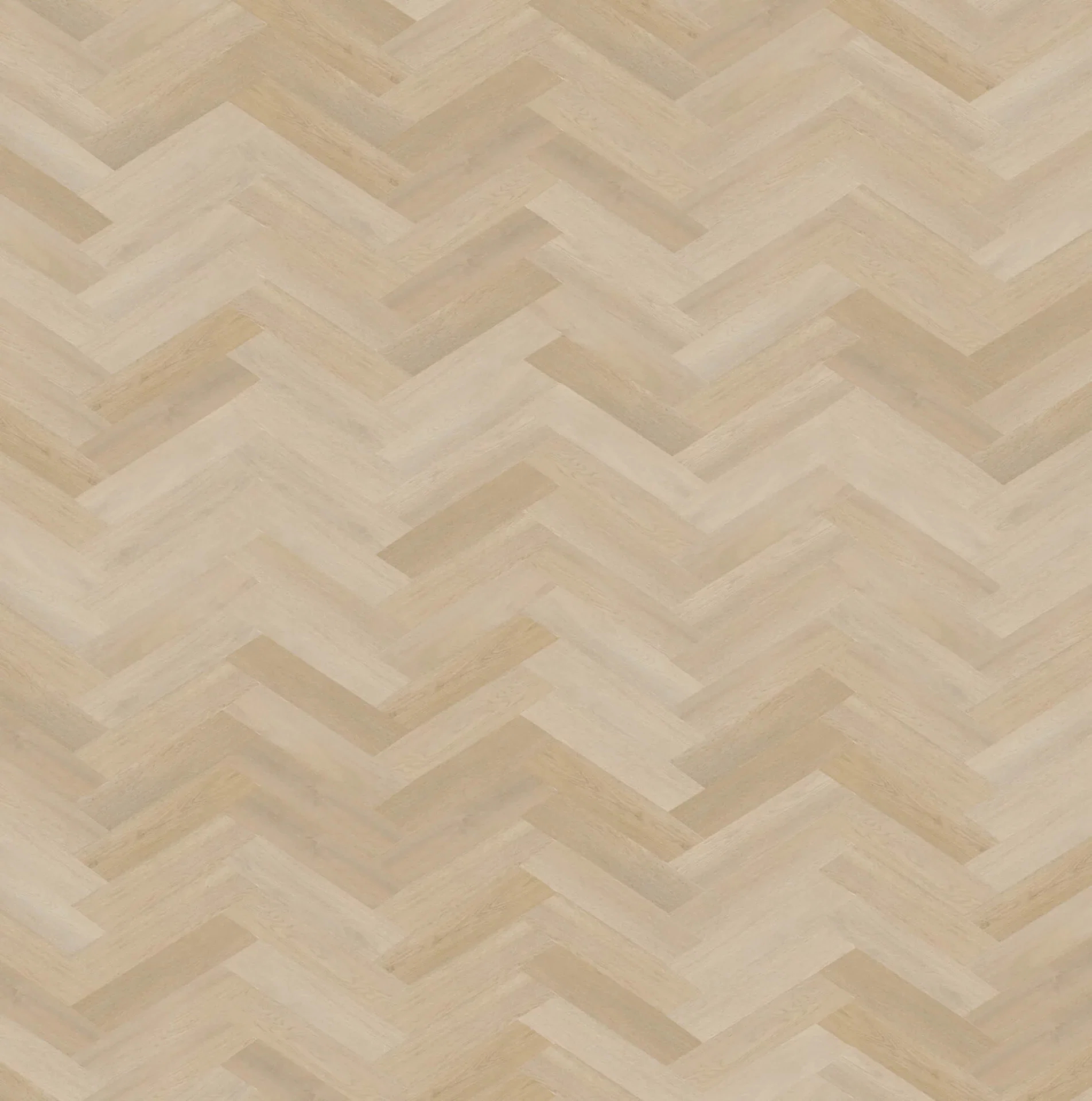 Therdex Premier 6582 Weense punt Dryback