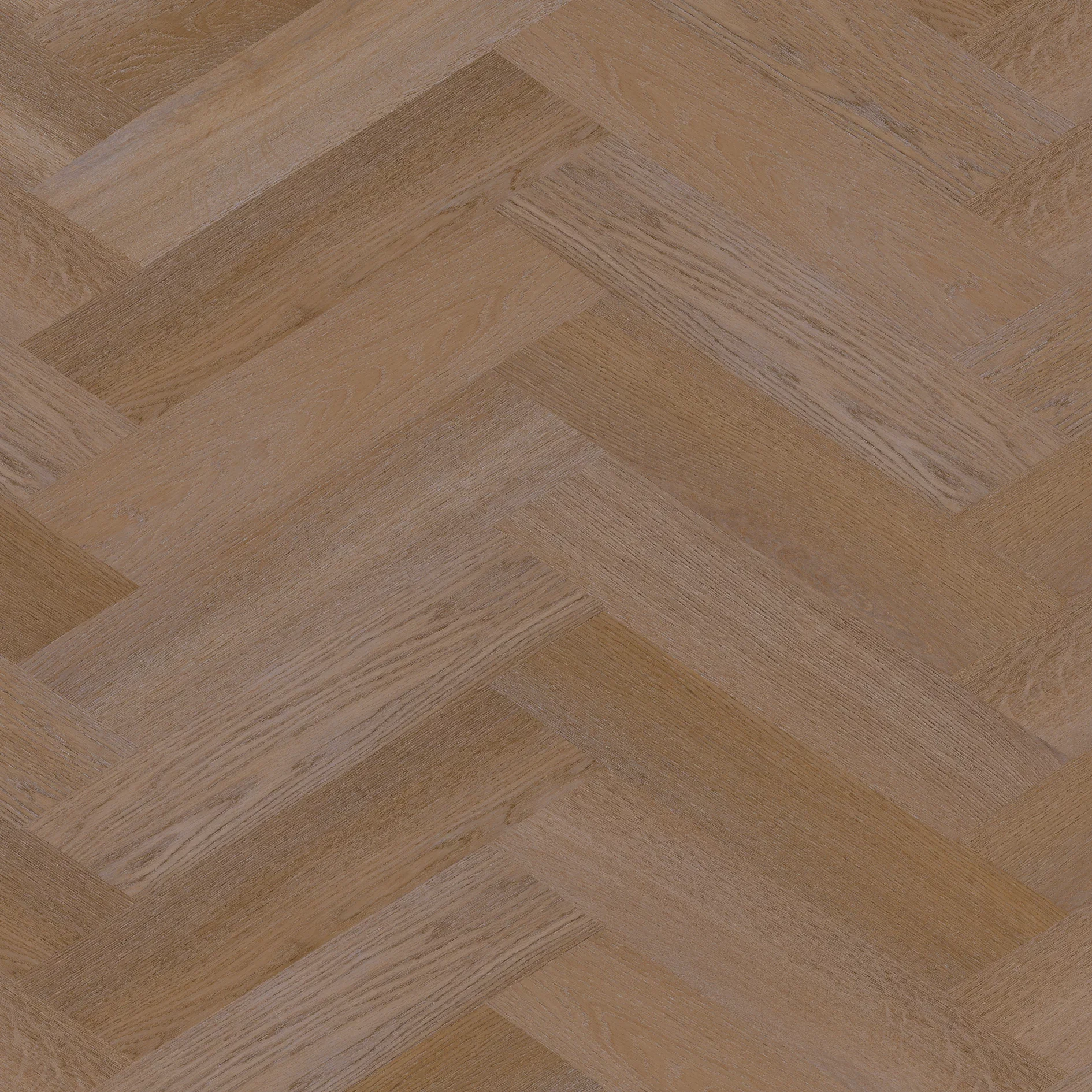 Therdex Premier 6585 Weense punt Dryback