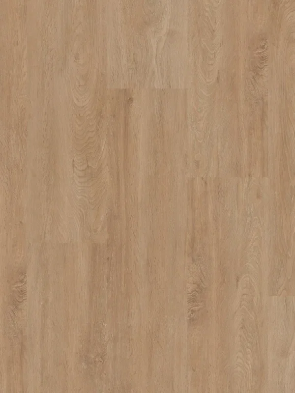 Therdex Basic 2010 Plank Dryback