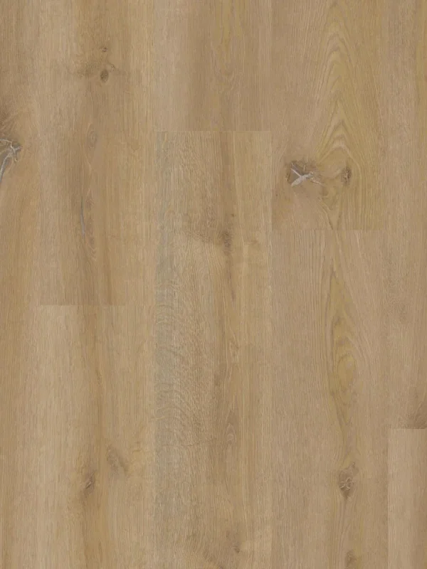 Therdex Xstralong 18100 Plank XL Dryback