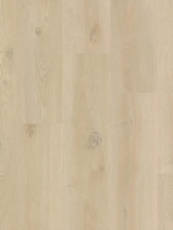Therdex Xstralong 18080 Plank XL Dryback