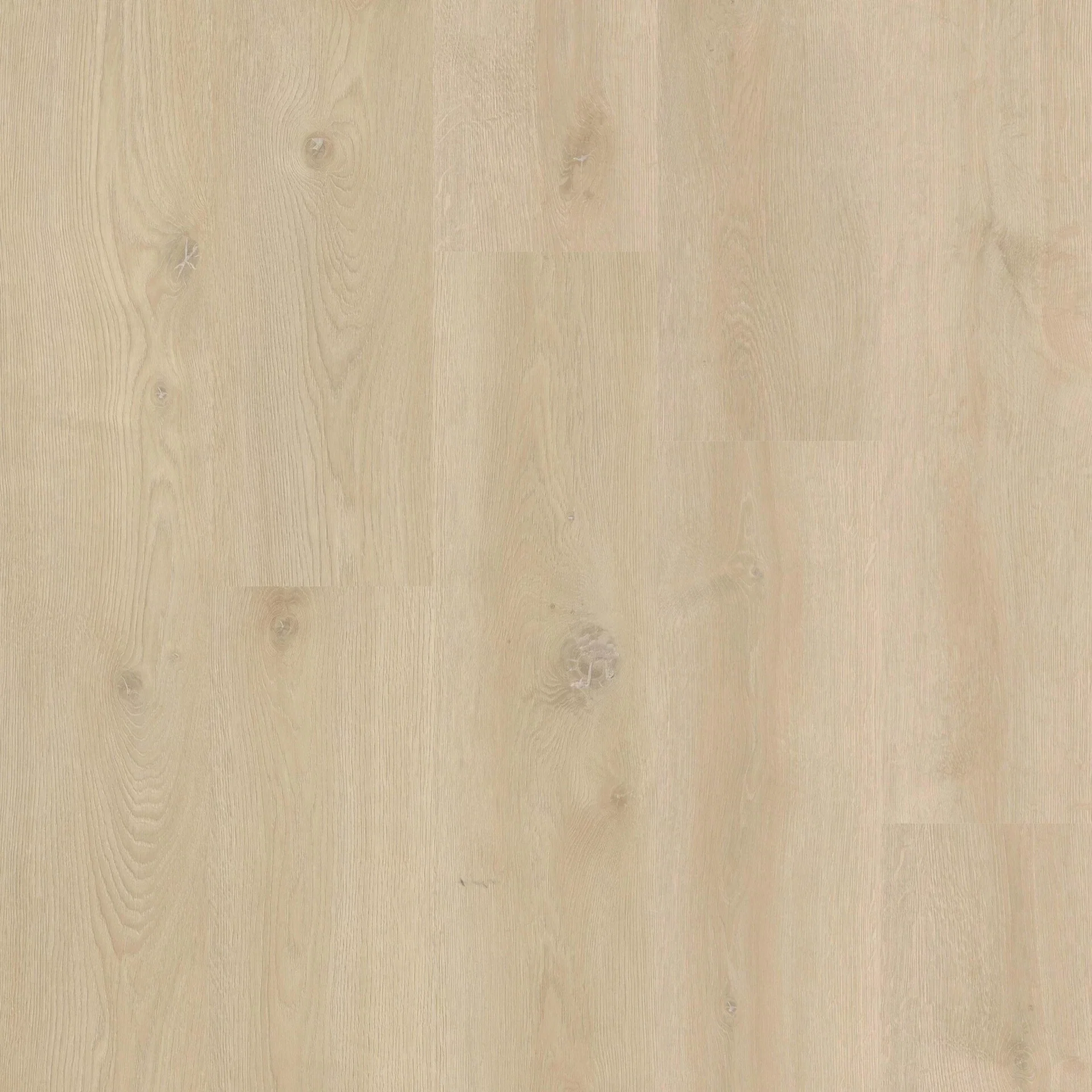 Therdex Xstralong 18080 Plank XL Dryback