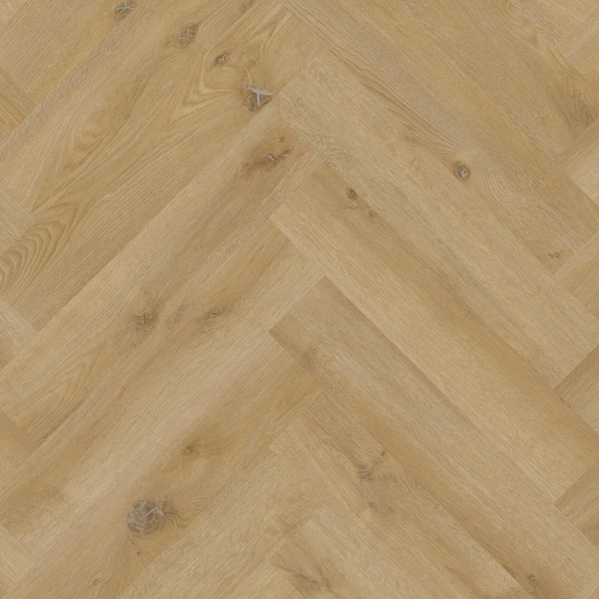 Therdex Original 2 7543 Visgraat XL Dryback