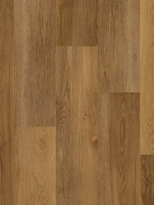 Therdex Original 1 15014 Plank XL Dryback