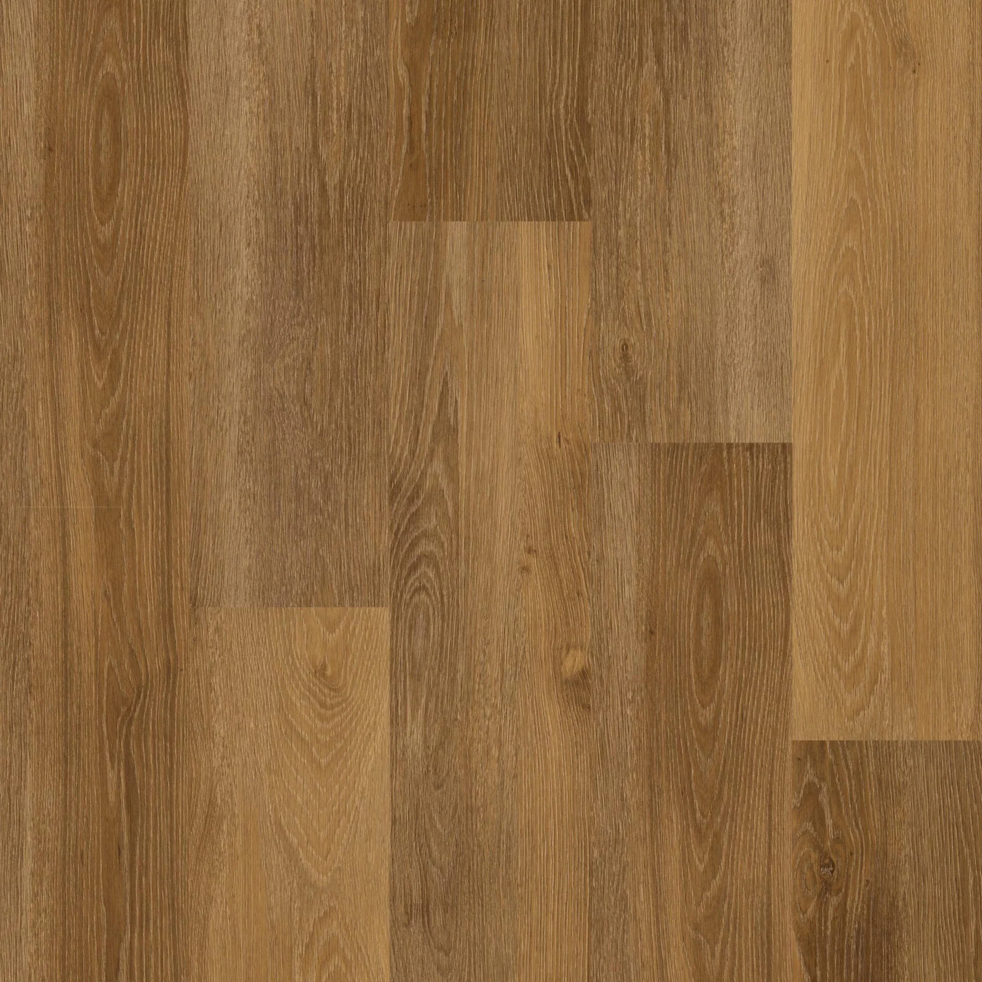 Therdex Original 1 15014 Plank XL Dryback