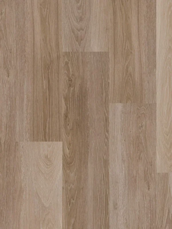 Therdex Original 1 15013 Plank XL Dryback