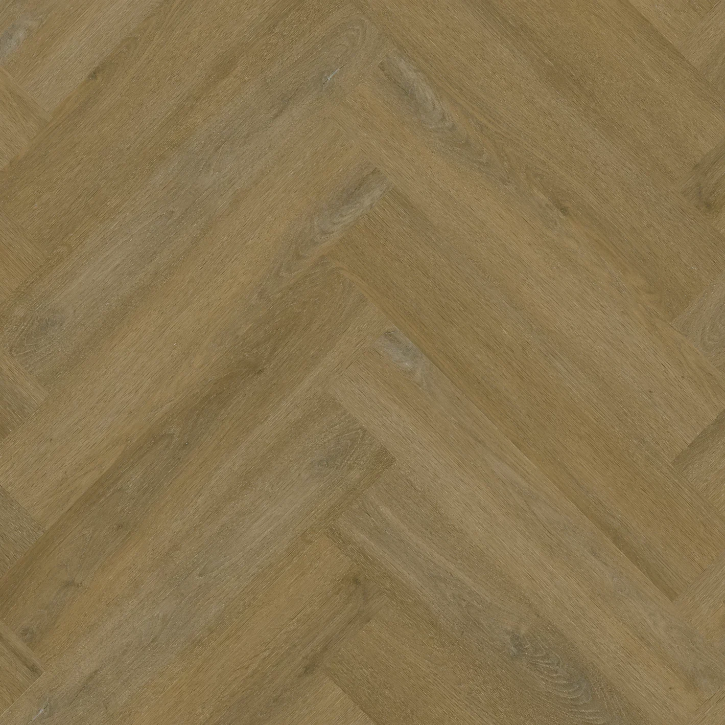 Therdex Private 9101-02 Walvisgraat Dryback