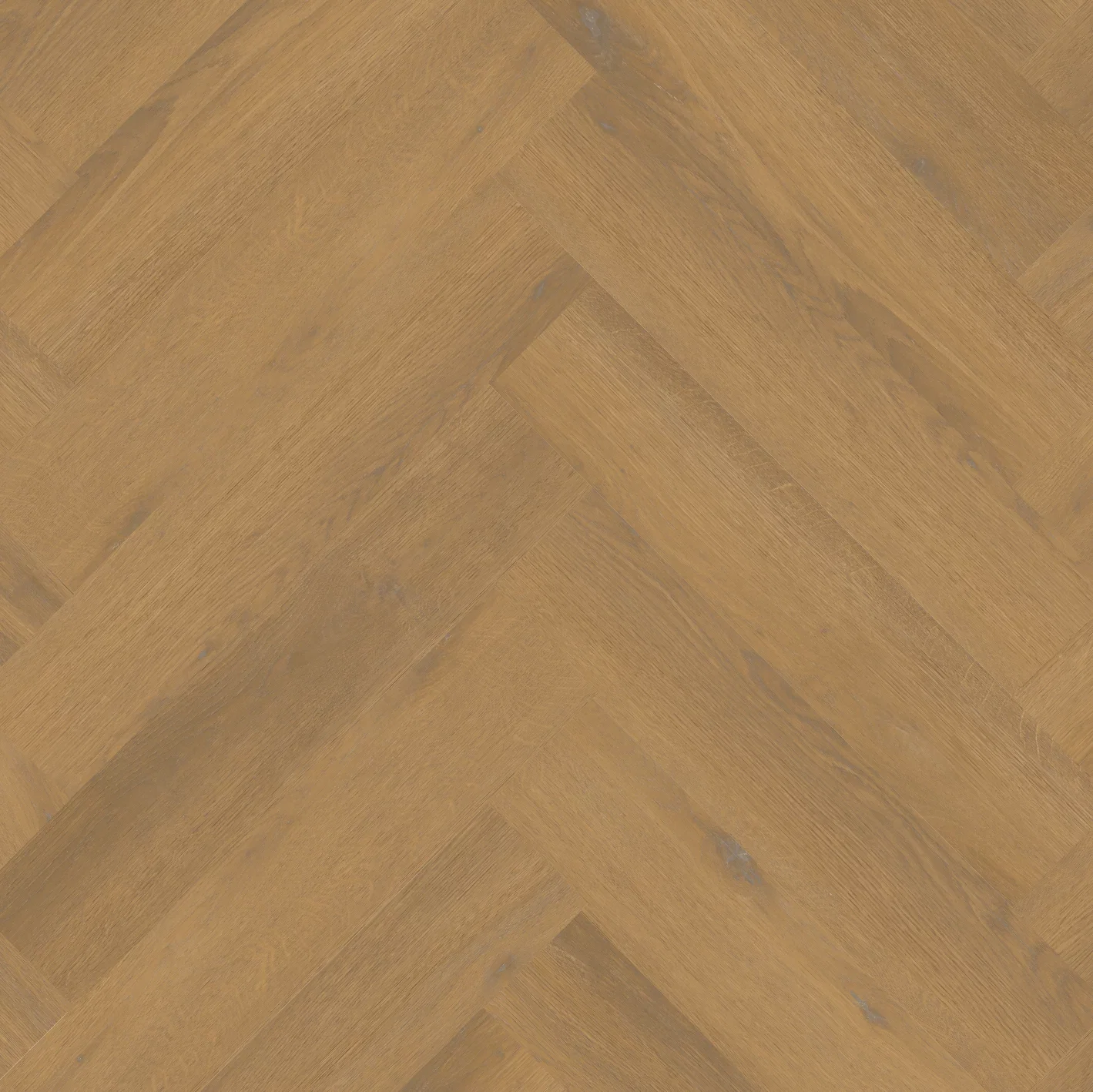 Therdex Private 8101-03 Visgraat XL Dryback