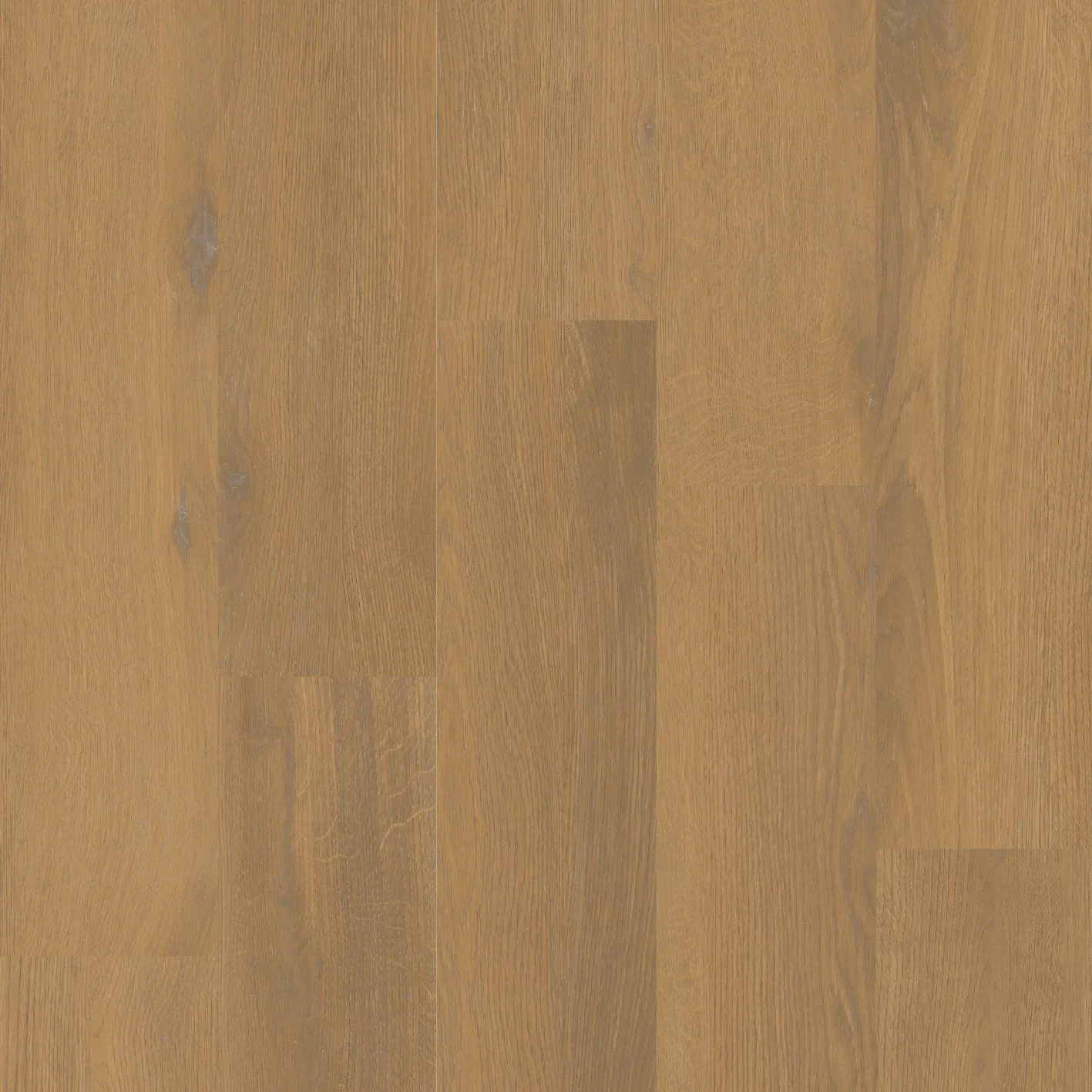 Therdex Private 8101-13 Plank XL Dryback