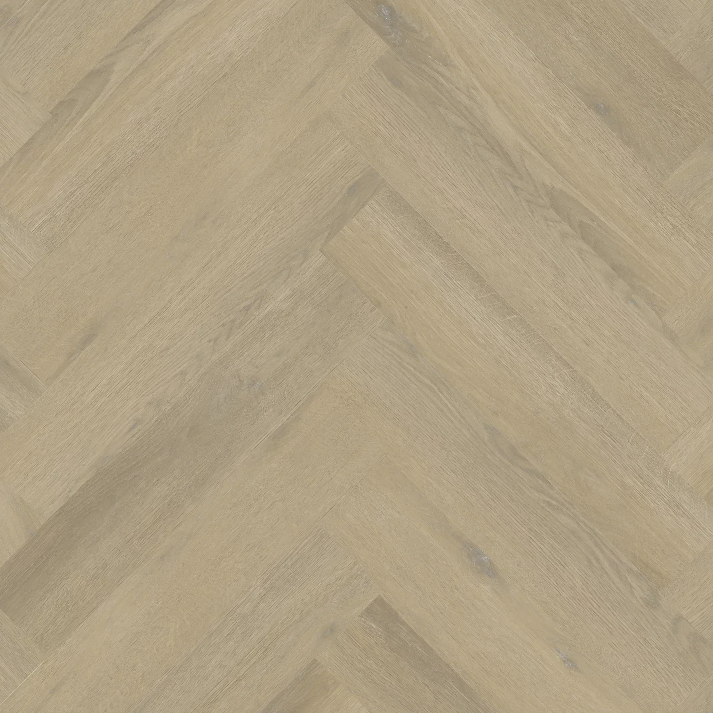 Therdex Private 8101-02 Visgraat XL Dryback