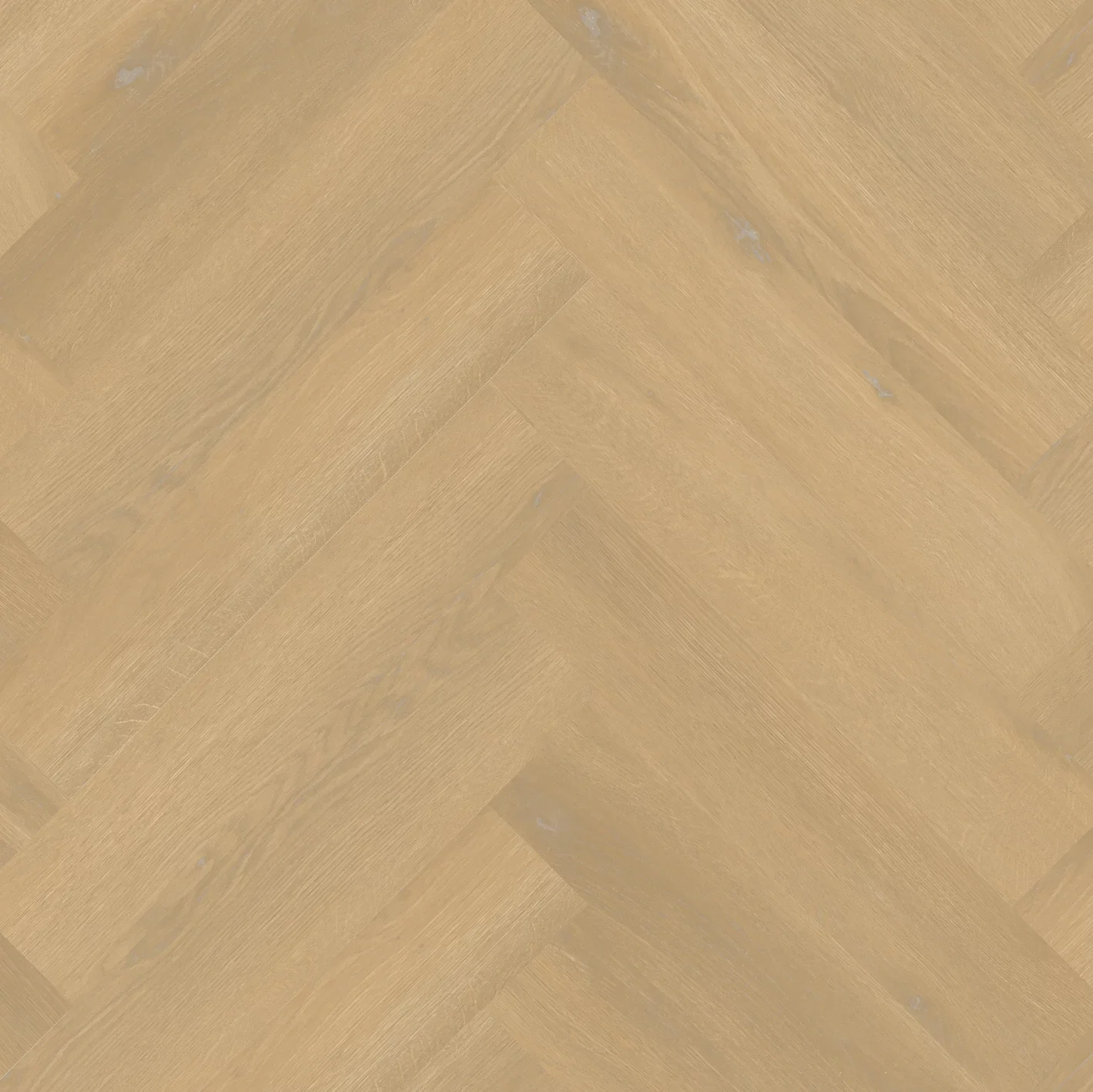 Therdex Private 8101-01 Visgraat XL Dryback