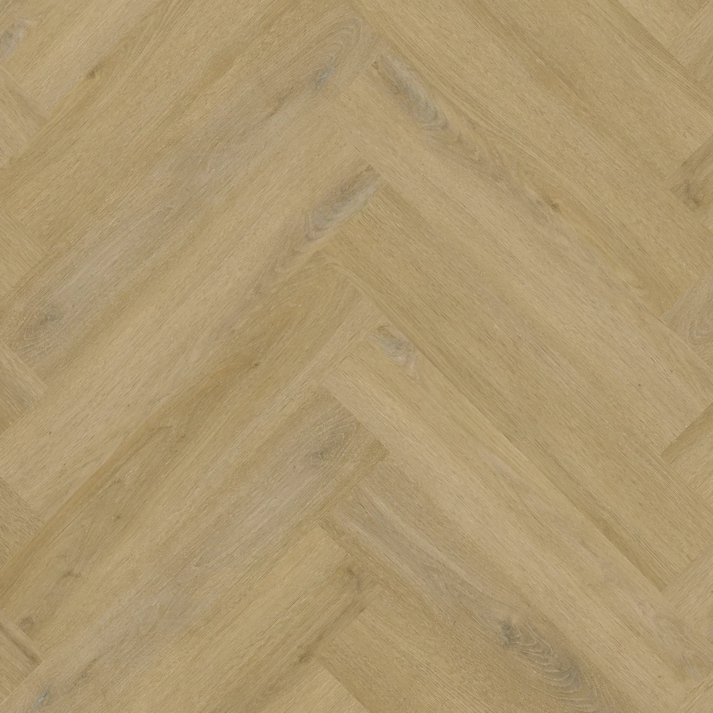 Therdex Private 8102-02 Visgraat XL Dryback