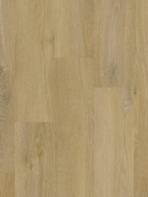 Therdex Private 8102-12 Plank XL Dryback