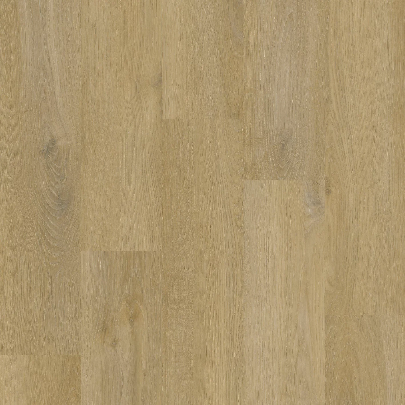 Therdex Private 8102-12 Plank XL Dryback