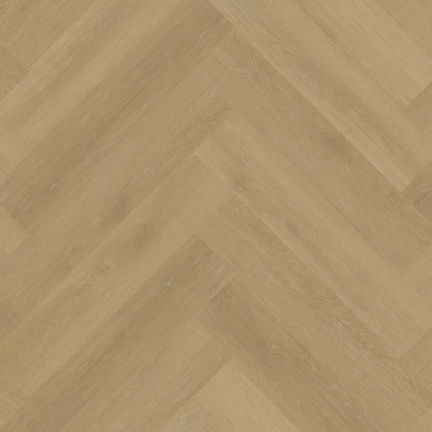 Therdex Private 8103-03 Visgraat XL Dryback