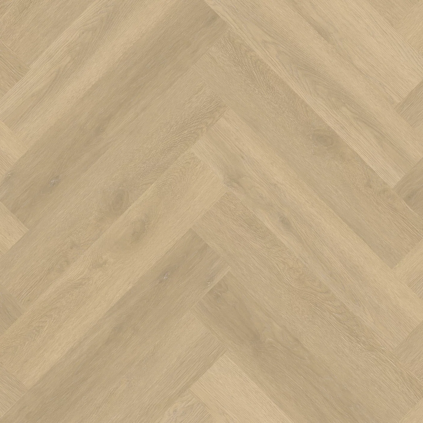 Therdex Private 8103-01 Visgraat XL Dryback