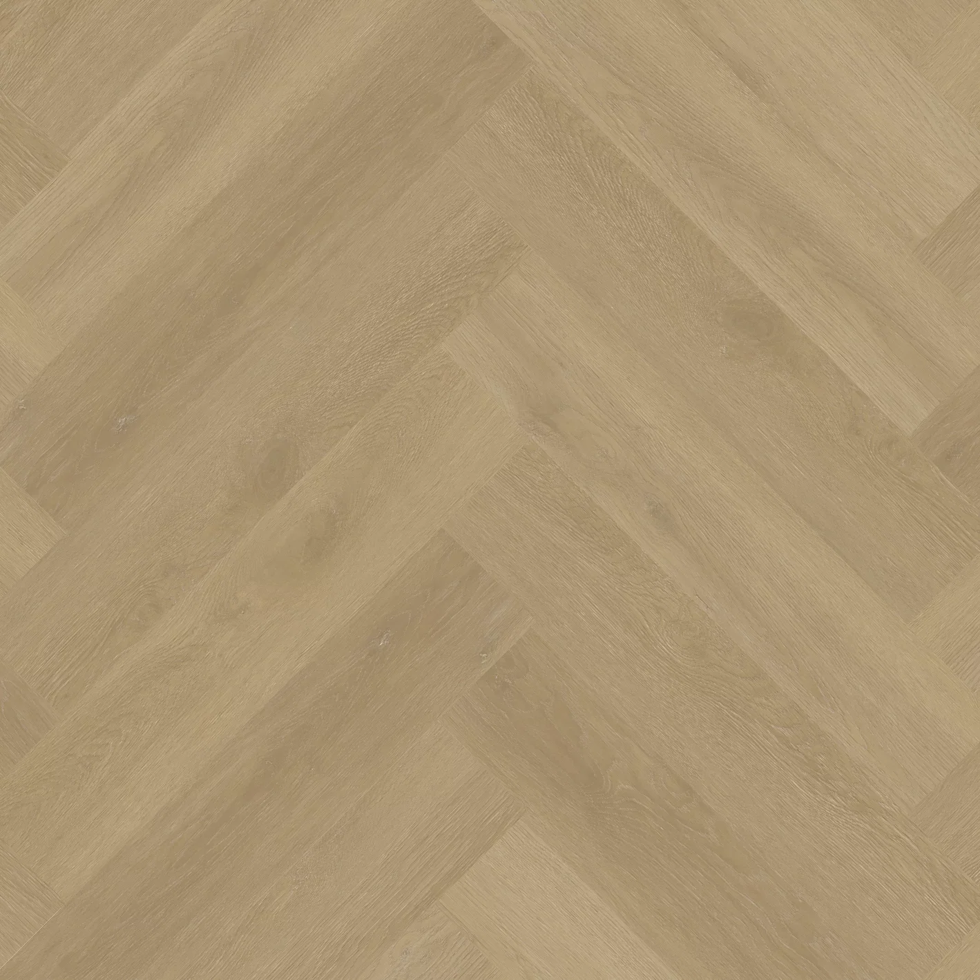 Therdex Private 8103-02 Visgraat XL Dryback