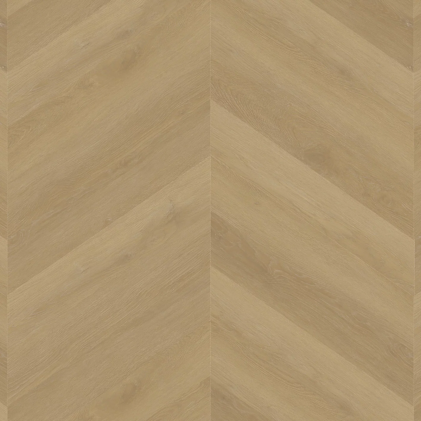 Therdex Private 8103-23 Weense punt Dryback