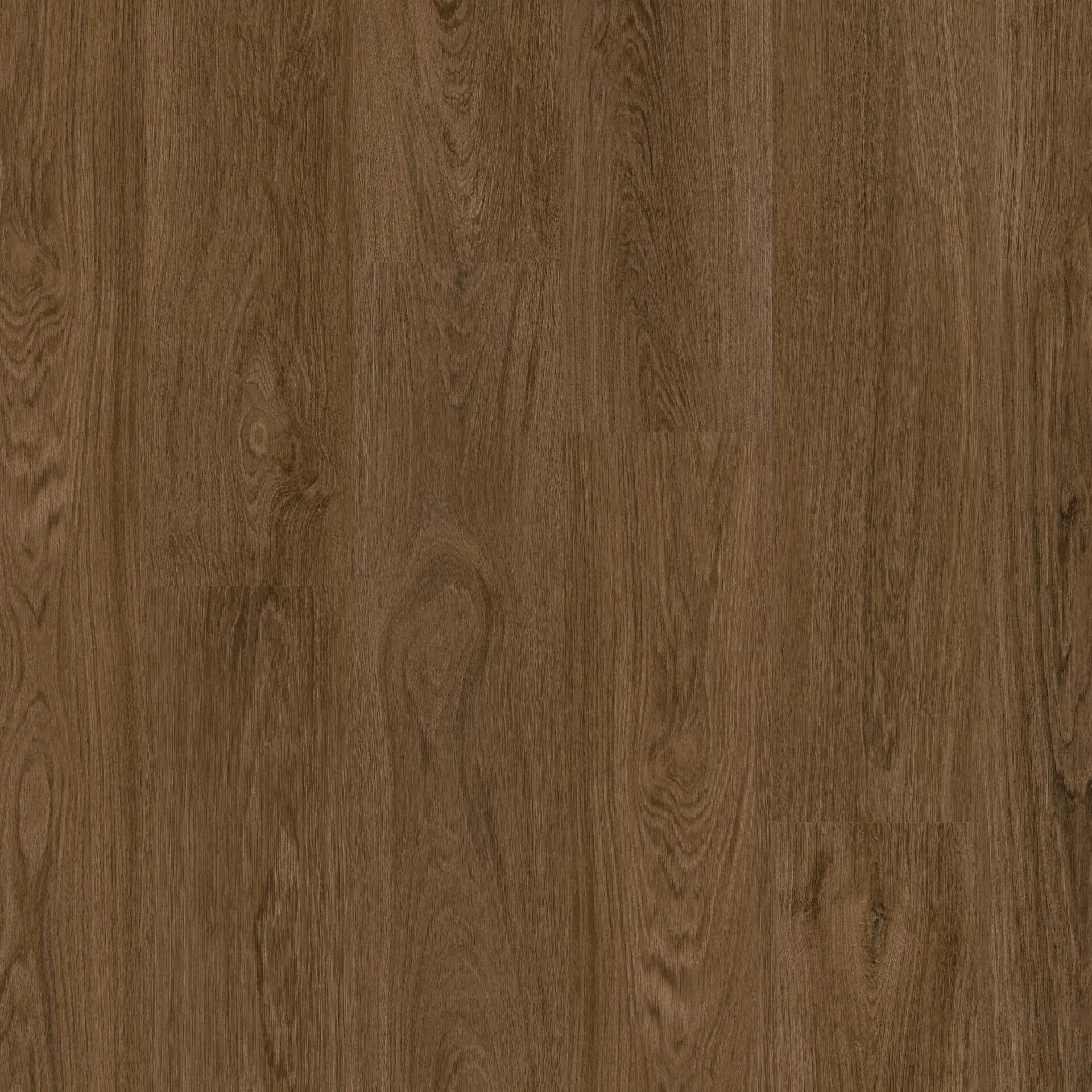 Therdex Classic 15126 Plank XL Dryback