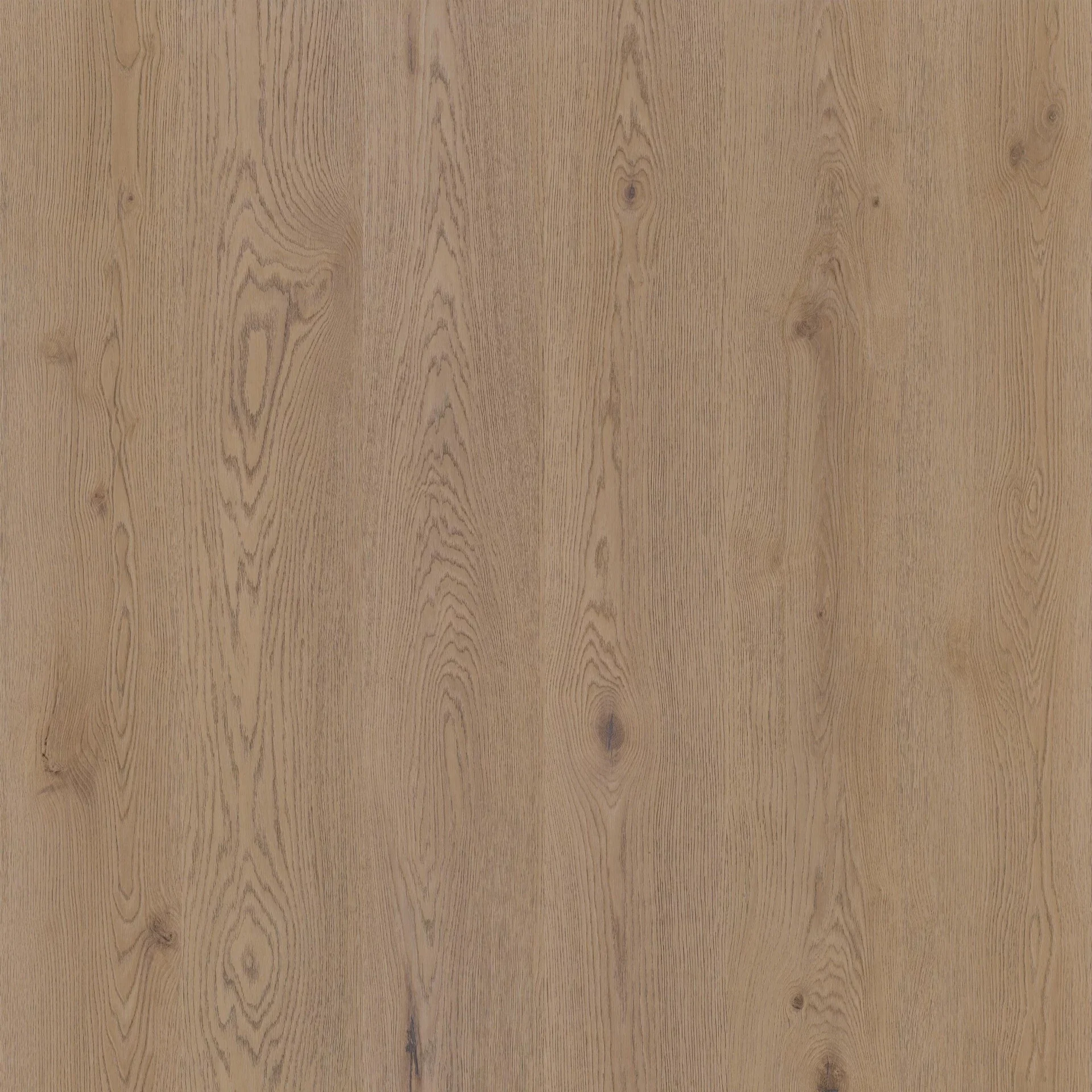 Therdex Authentic 15062 Plank XL Dryback Therdex Authentic 15062 Plank XL Dryback