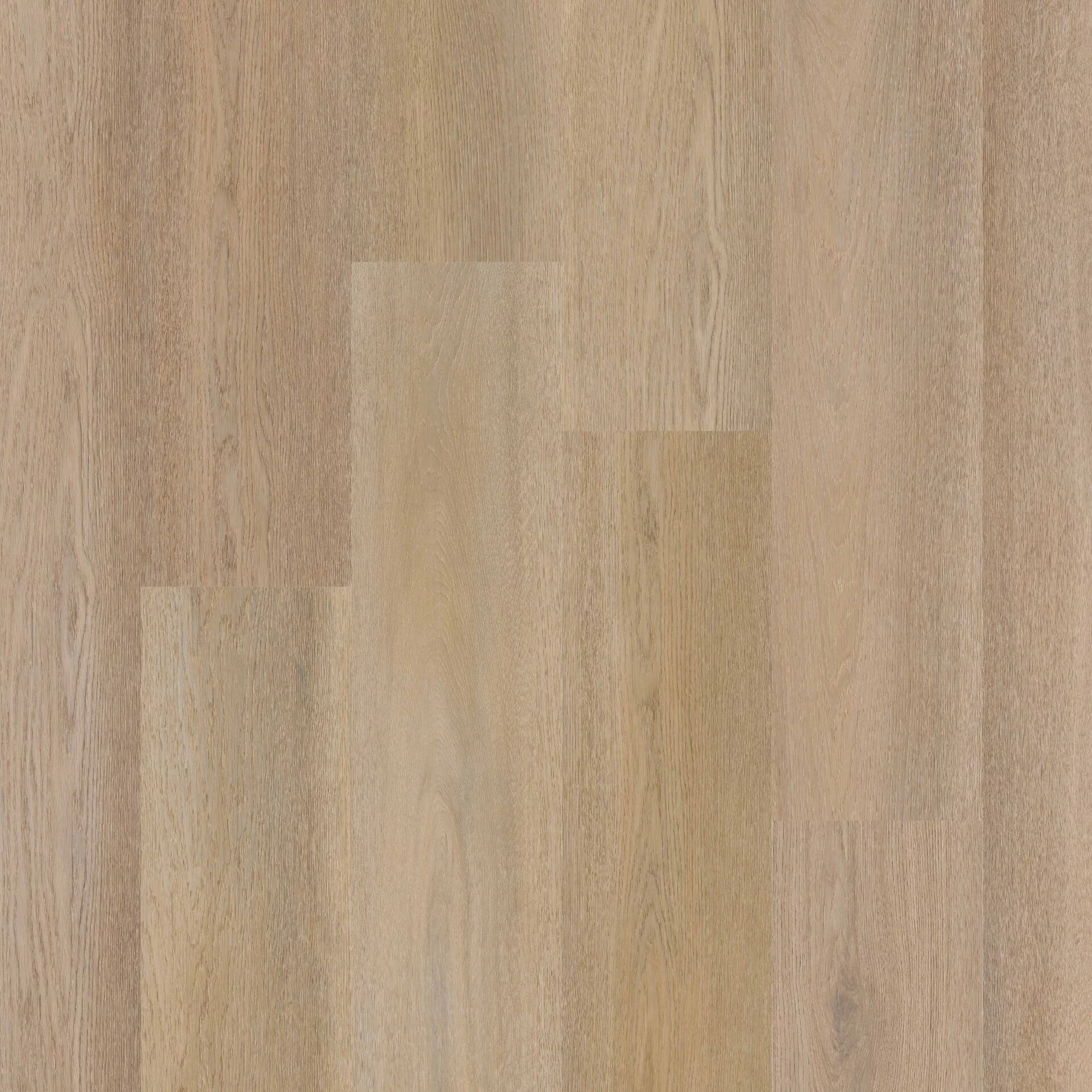 Therdex Premier 15084 Plank XL Dryback Therdex Premier 15084 Plank XL Dryback