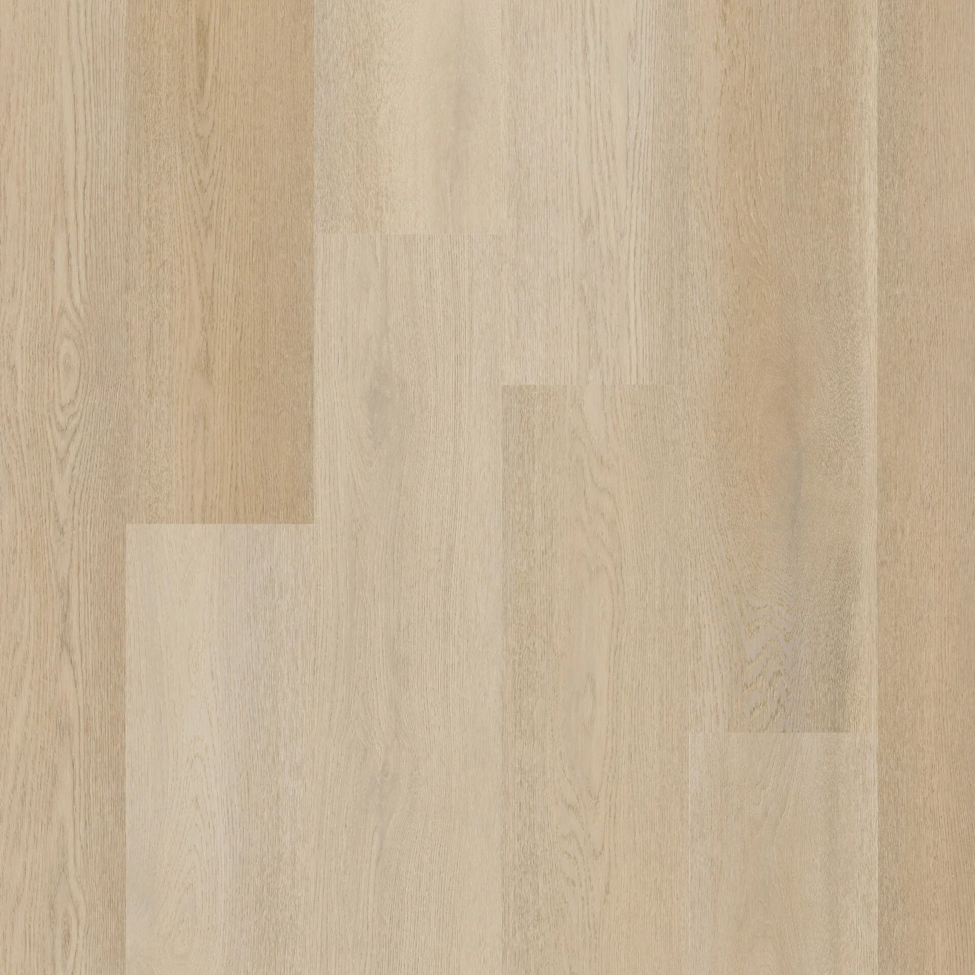 Therdex Premier 15082 Plank XL Dryback Therdex Premier 15082 Plank XL Dryback