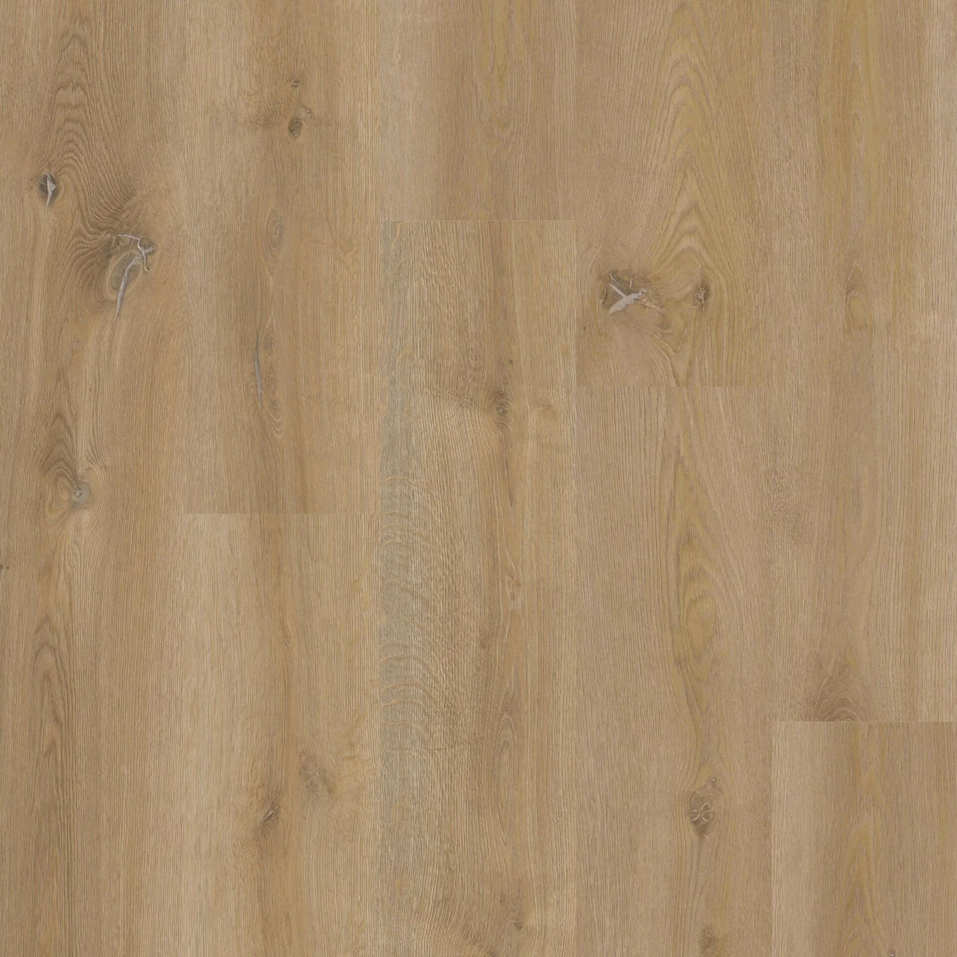 Therdex Xstralong 18100 Plank XL Dryback Therdex Xstralong 18100 Plank XL Dryback