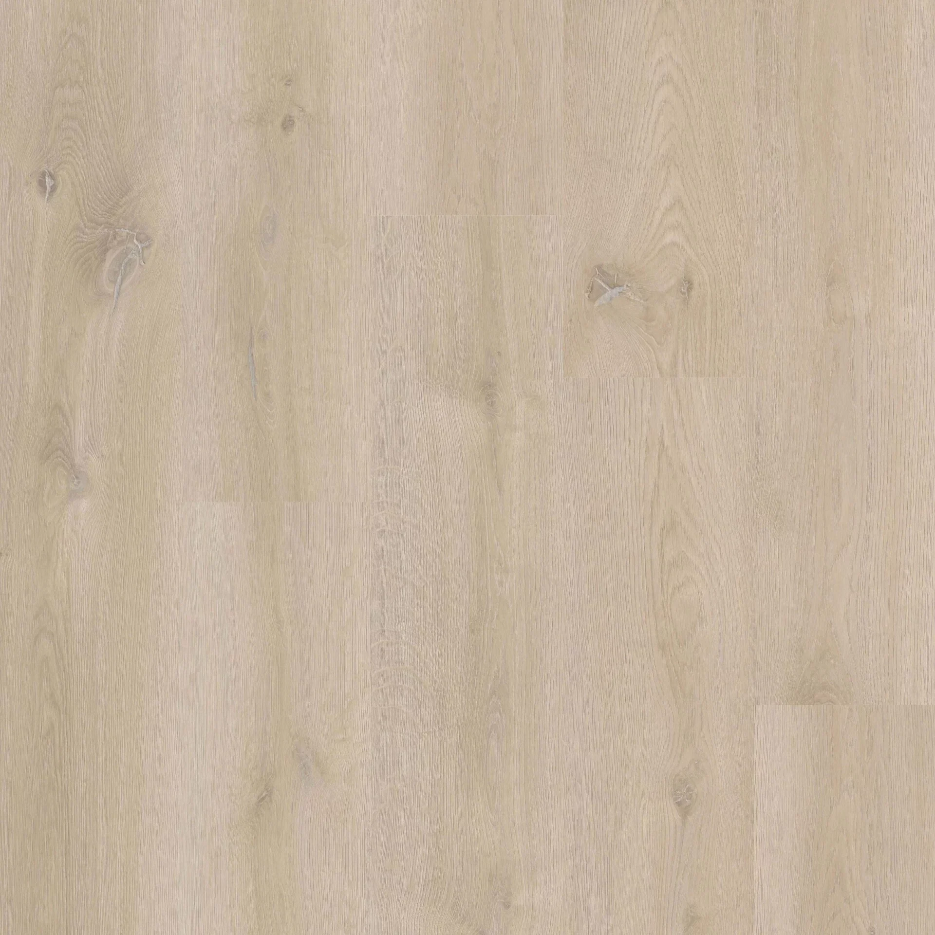 Therdex Xstralong 18070 Plank XL Dryback Therdex Xstralong 18070 Plank XL Dryback