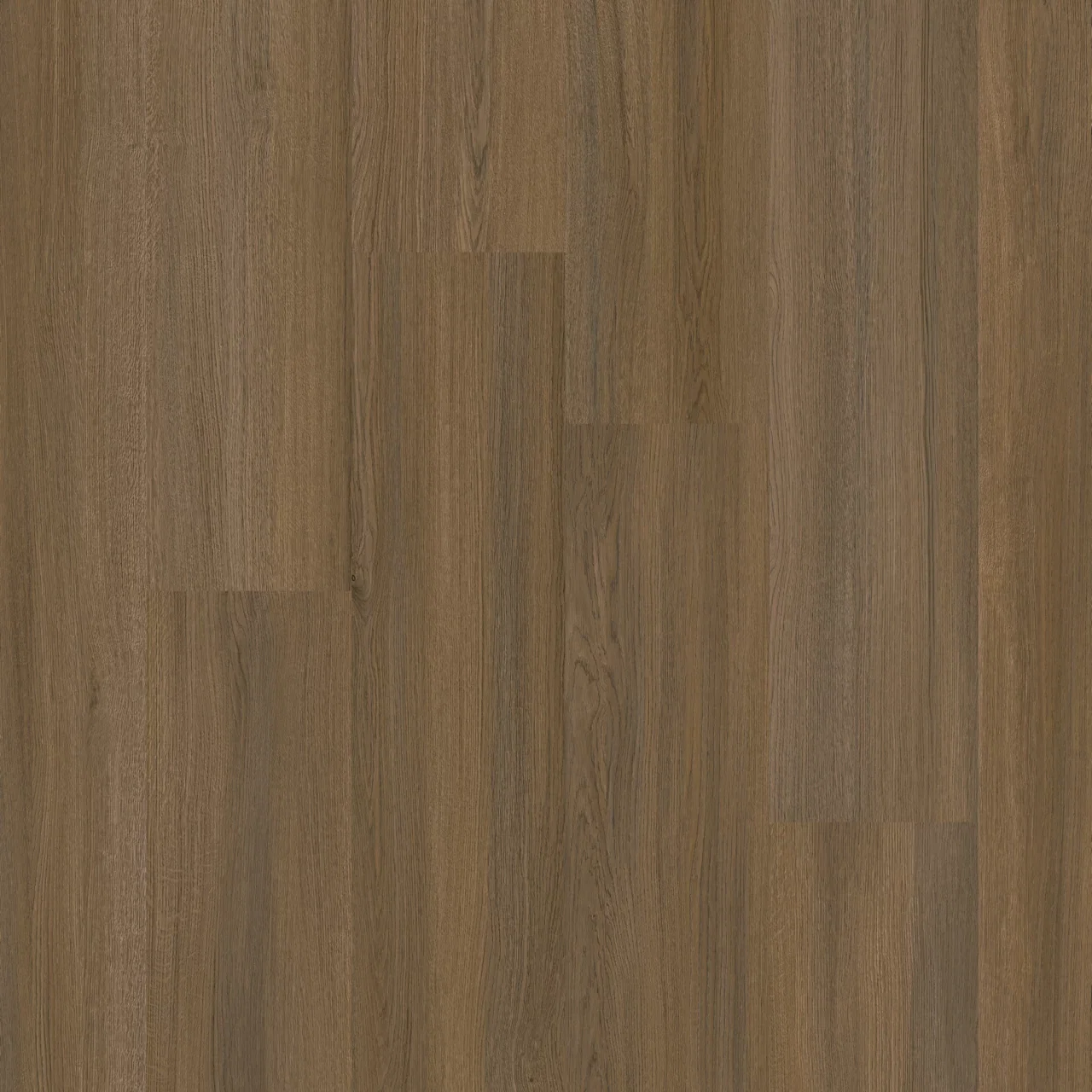 Therdex Select 15134 Plank XL Dryback Therdex Select 15134 Plank XL Dryback
